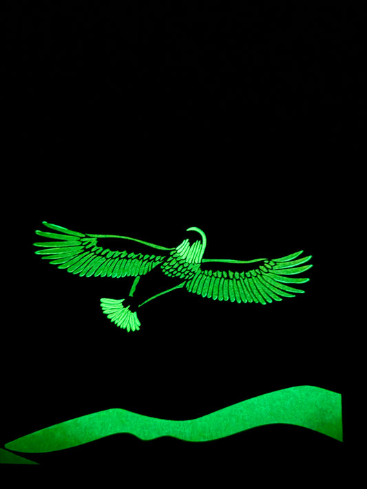 Poster DIN A3 mit Nachtleuchtfarbe "Flugstunde"