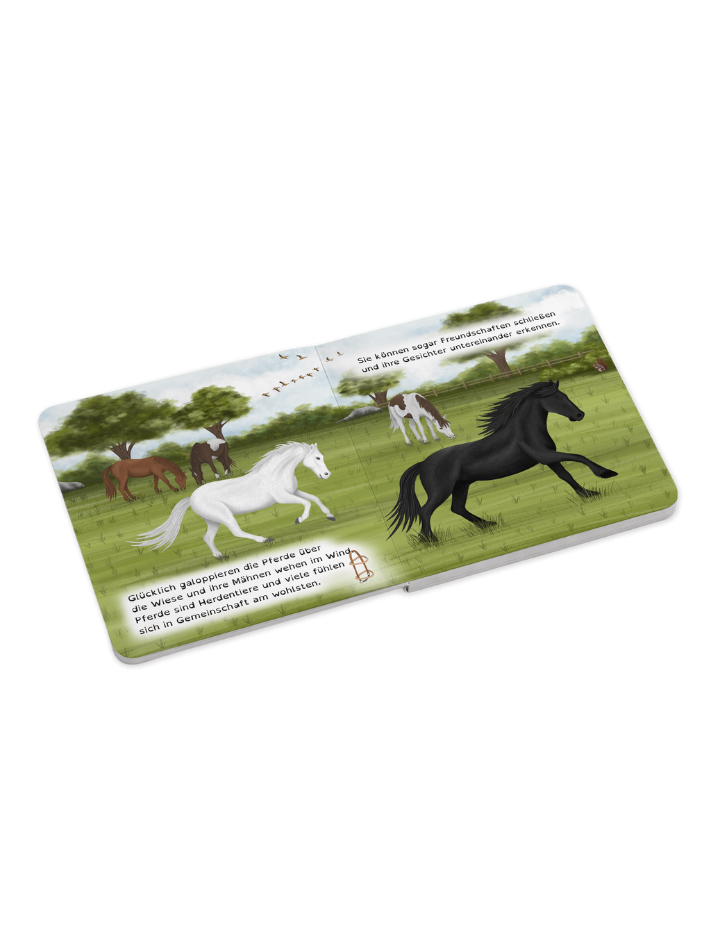 "Komm, wir retten die Zirkustiere" - ein Mitmachbuch