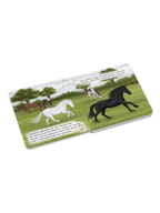 "Komm, wir retten die Zirkustiere" - ein Mitmachbuch