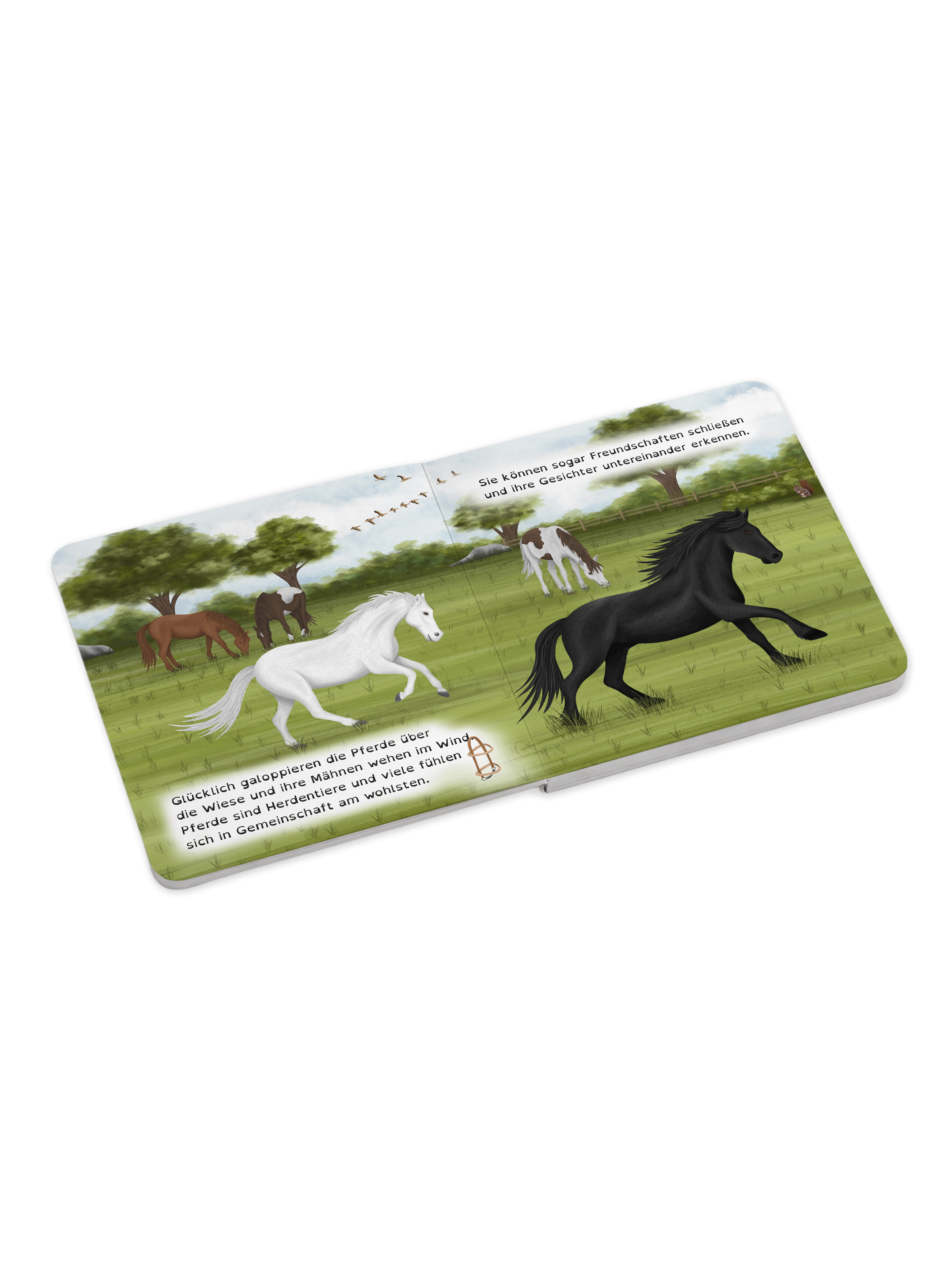 "Komm, wir retten die Zirkustiere" - ein Mitmachbuch