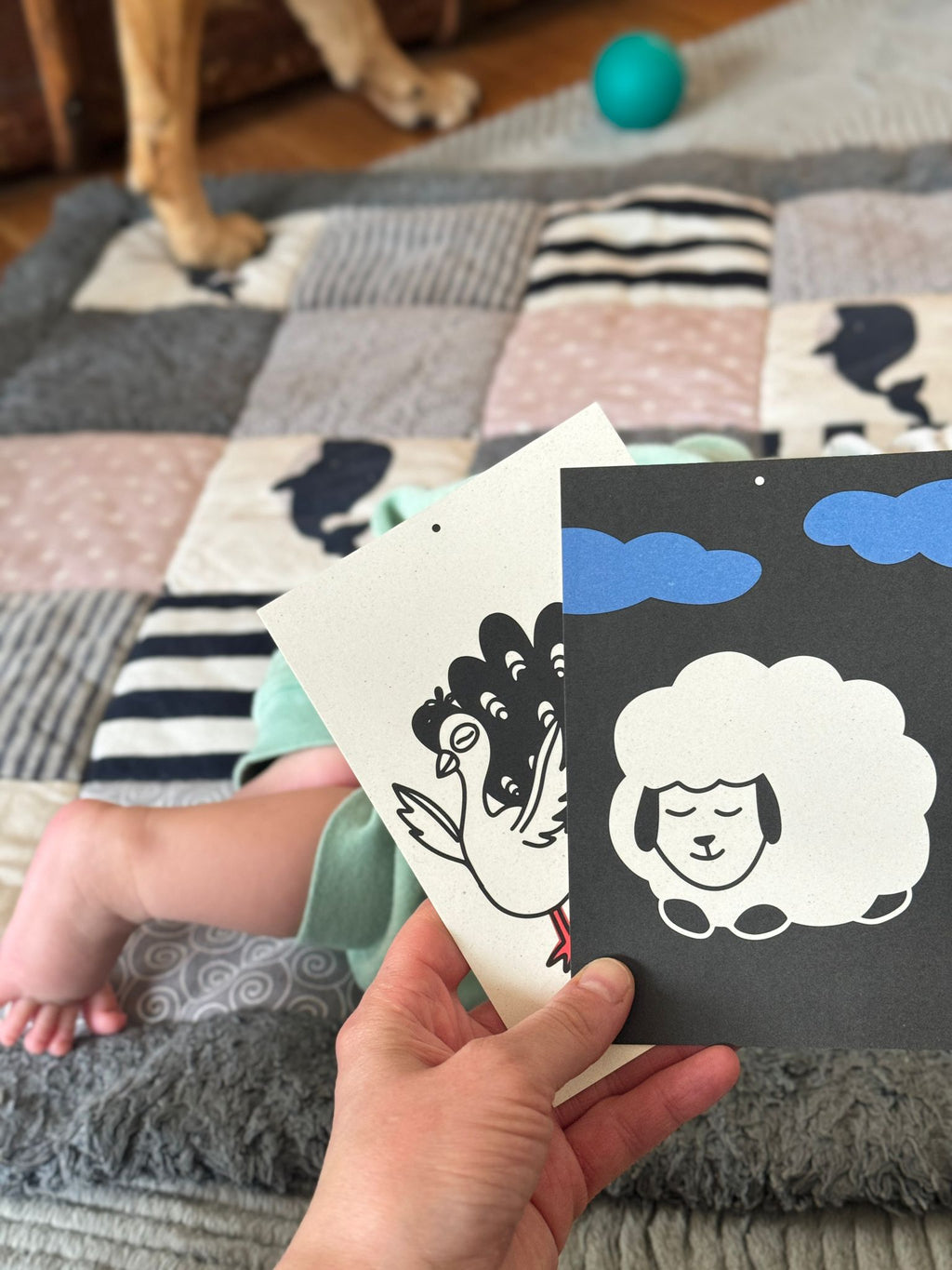 Kontrastkartenset große Auflage (22 Karten)