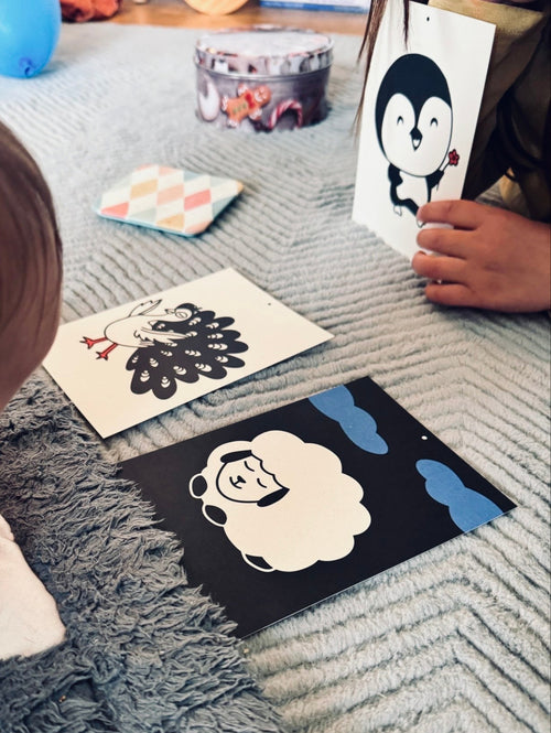 Kontrastkartenset große Auflage (22 Karten)